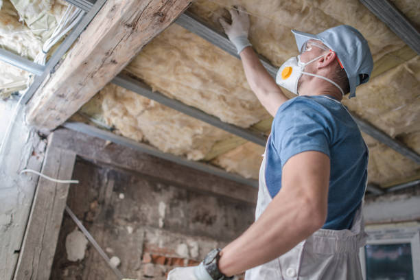 Insulation Inspection Services in Lamar, SC