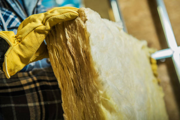 Best Insulation Replacement Services  in Lamar, SC