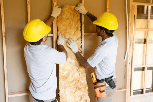 Best Professional Insulation Contractor  in Lamar, SC
